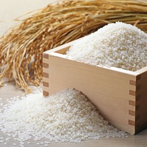 03農苑では完全無農薬栽培にこだわったお米のみを取り揃えております