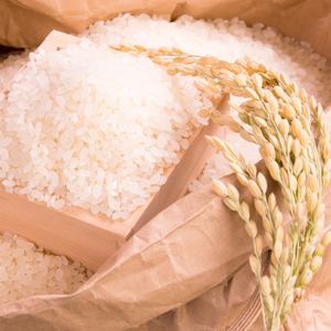 03農苑ではつやのある美味しいミルキークイーンを販売しております