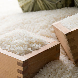 食べ応えのあるお米なら茨城の03農園へ